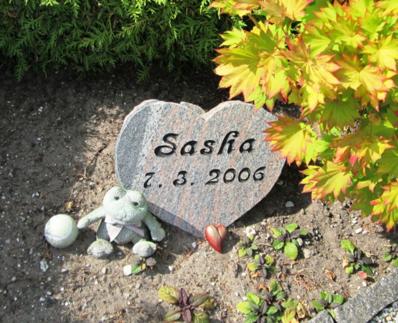 Sasha .JPG